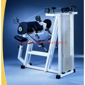 ARM CURL LINEA LUX