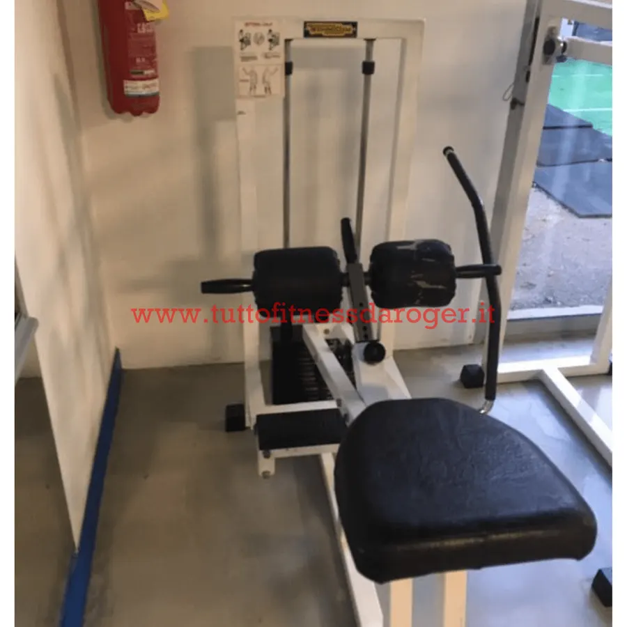 Sitting Calf Technogym Linea Lux