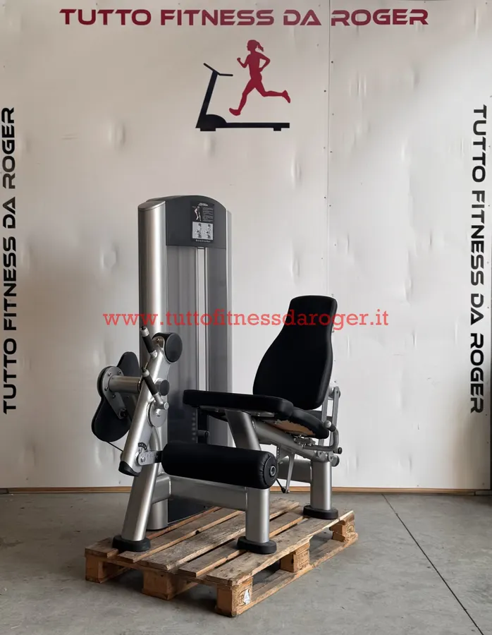 LEG EXTENSION LIFE FITNESS