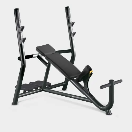 Panca inclinata Element TechnoGym