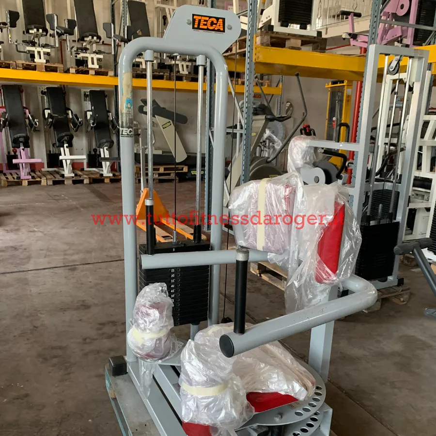 Rotary Torso Teca