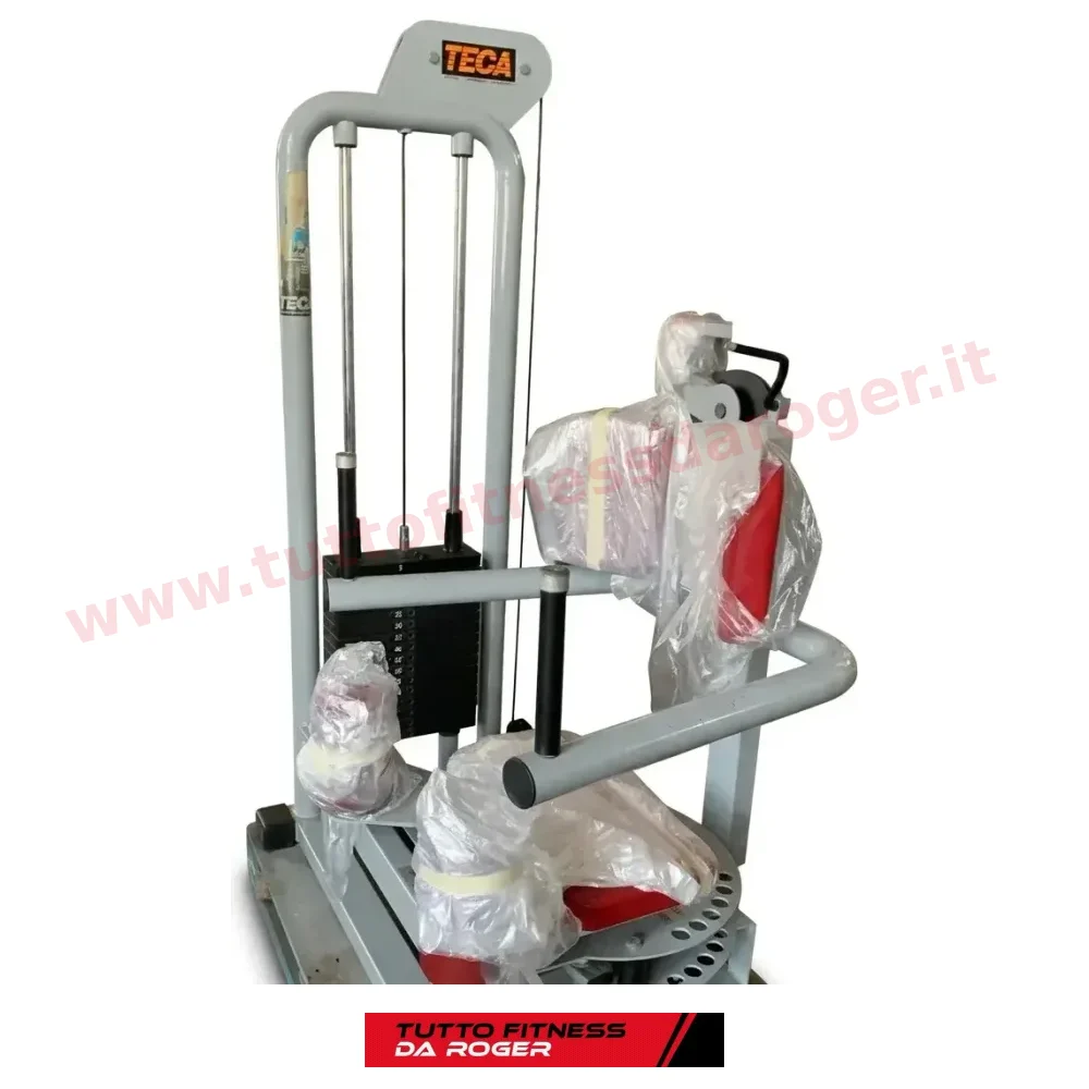 Rotary Torso Teca