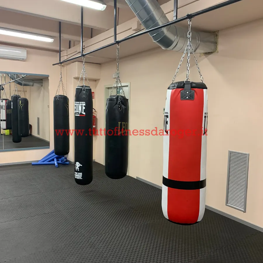 Sacchi per boxe
