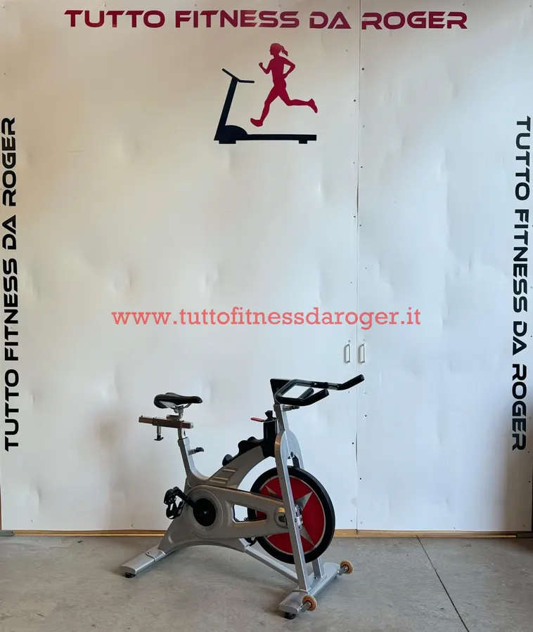 Shwinn spin bike Evolution