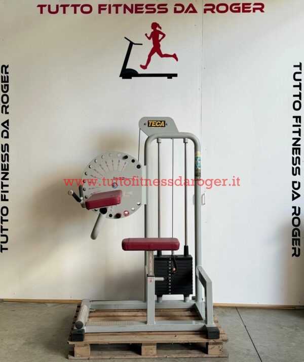 Arm curl Teca