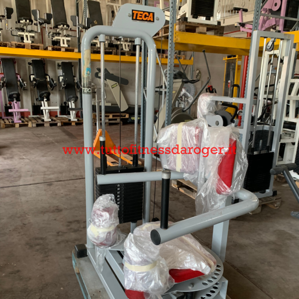 Rotary Torso Teca