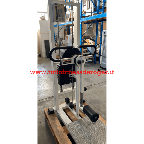 Multi Hip