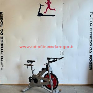 Shwinn spin bike Evolution