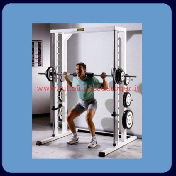 Multipower Technogym linea lux