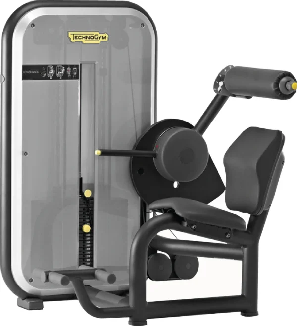Lower Back Element TechnoGym